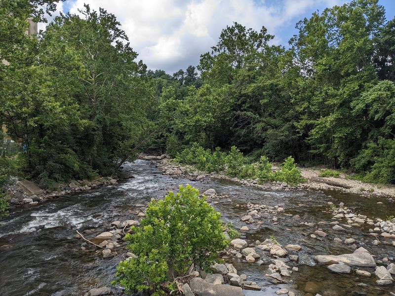 River Views and Wildflower Walks River Views and Wildflower Walks