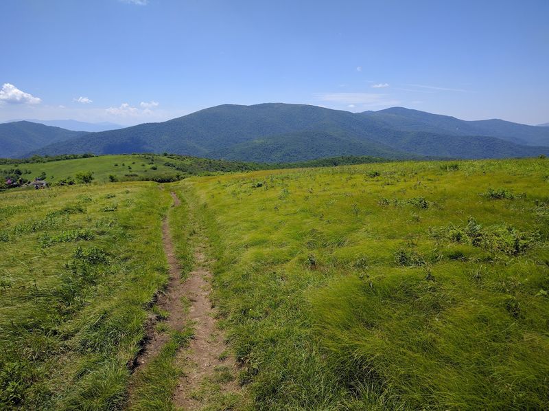 Roan Mountain, Roan Mountain Roan Mountain, Roan Mountain