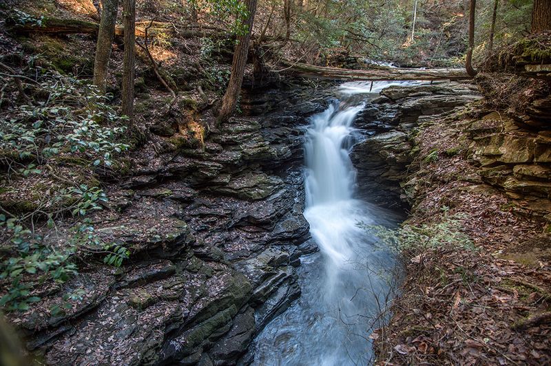Rocks, Roots, and Real Footing