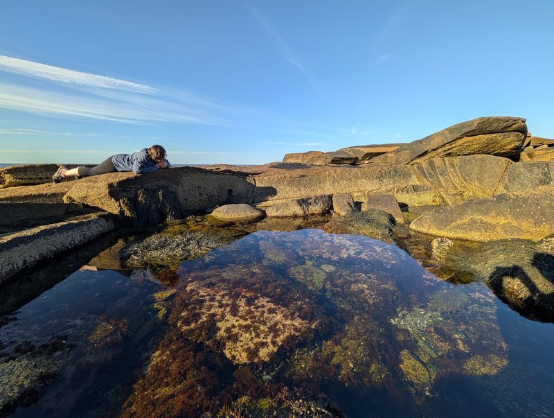 Rocky Shoreline and Tide Pools to Explore