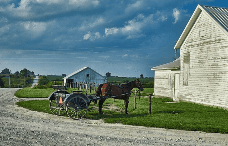 Rolling Hills And Country Roads To Explore