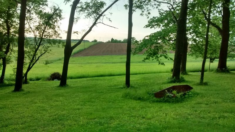 Rolling Hills And Country Views