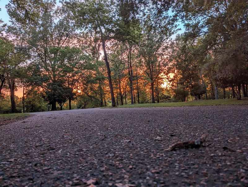 Room To Roam For Bikes And Boards
