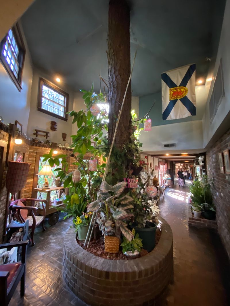 Rooms Full of Antiques and Surprises Rooms Full of Antiques and Surprises
