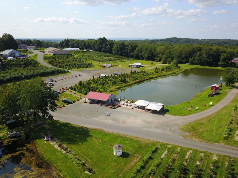 Rose's Berry Farm, South Glastonbury, CT