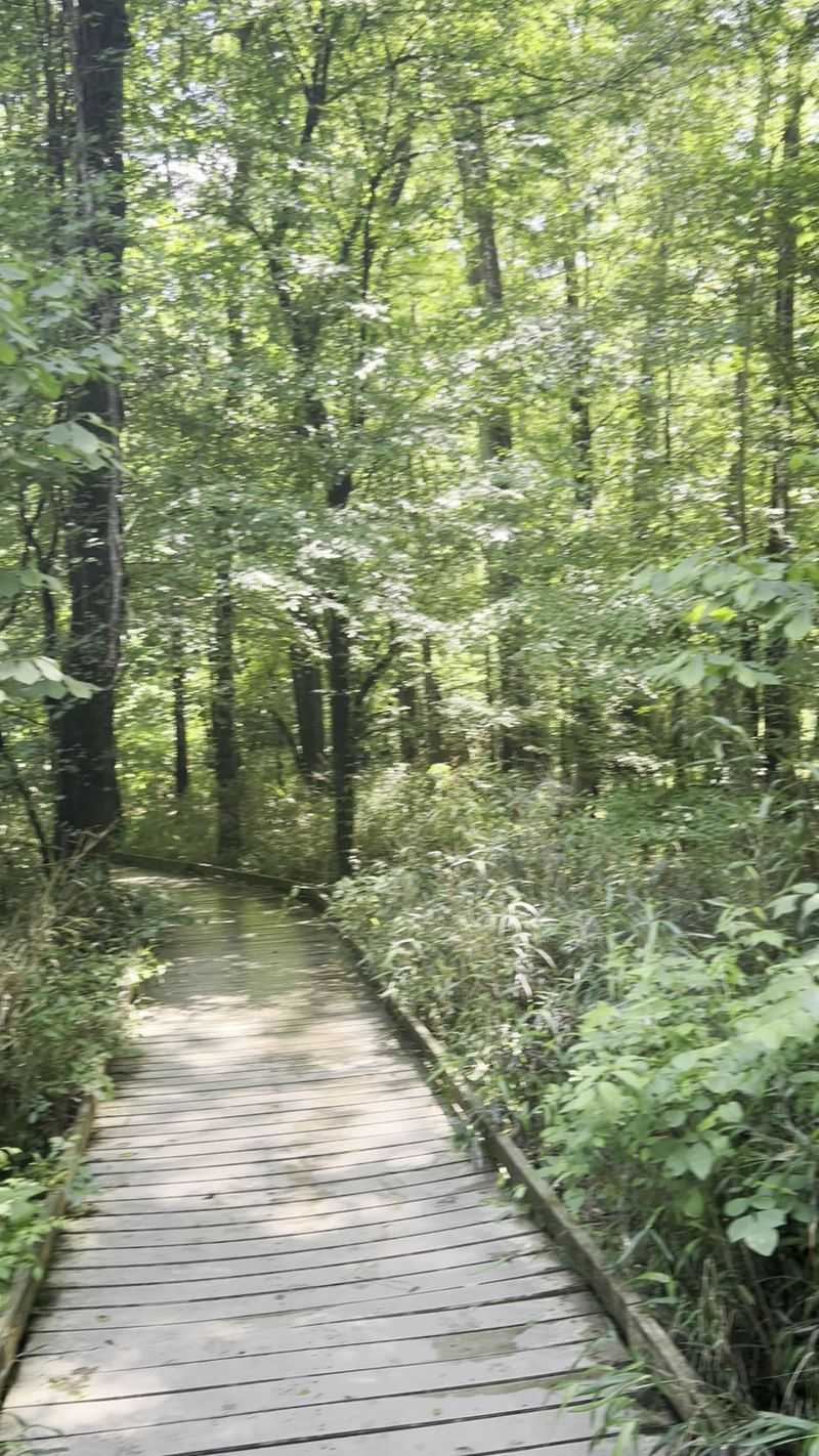 Roughly 2.5 Miles With Twenty Learning Stops