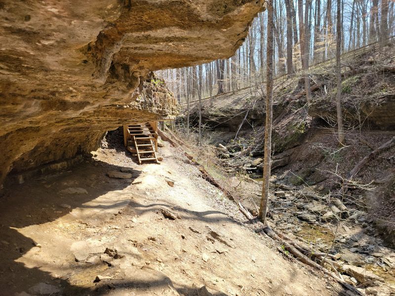 Rugged Terrain and Honest Difficulty