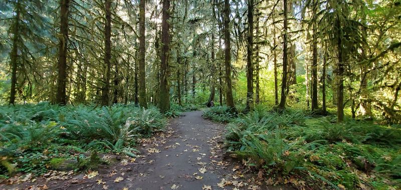 Rules, Fees, And Nearby Trails Rules, Fees, And Nearby Trails
