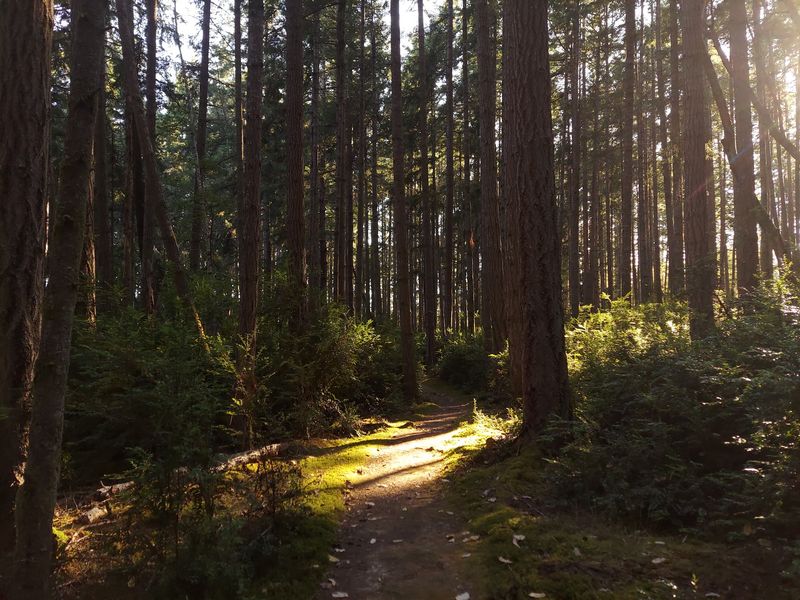 Rustic Camping For Twelve Dollars A Night