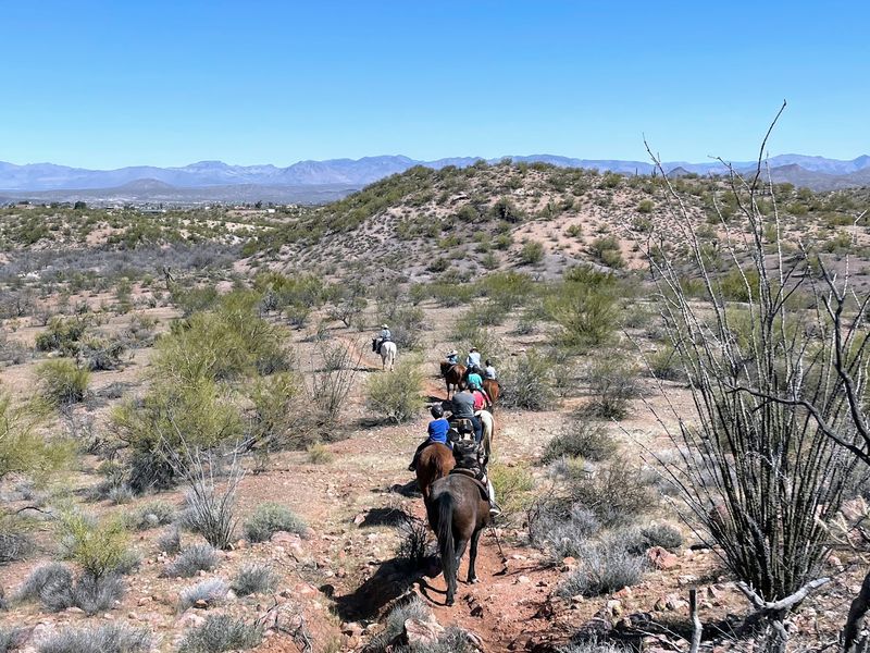 Saddling Up for Trail Rides