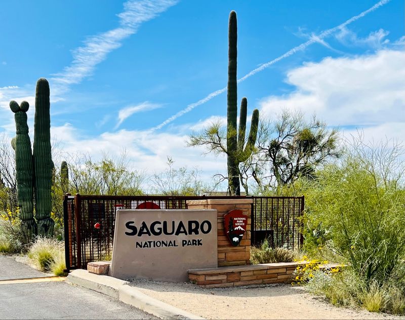 Saguaro National Park – Arizona