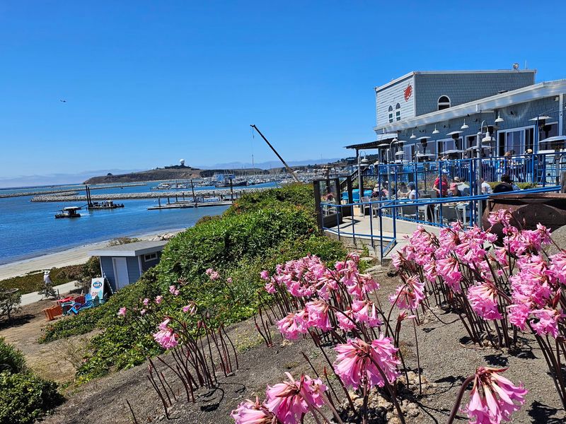 Sam's Chowder House, Half Moon Bay