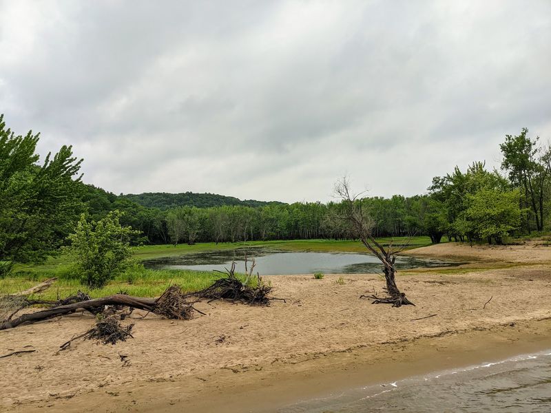 Sand Dunes, Wetlands, and the Confluence Walk