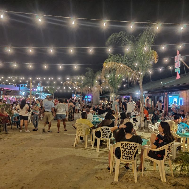 Sand, Palm Vibes, and That Beach-Without-the-Ocean Feel Sand, Palm Vibes, and That Beach-Without-the-Ocean Feel