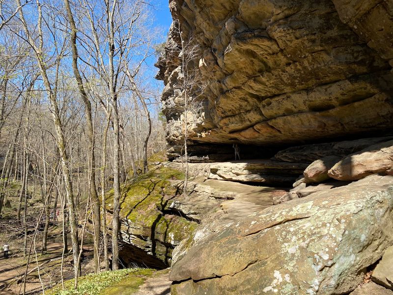 Sandstone Canyons Carved Over Ages