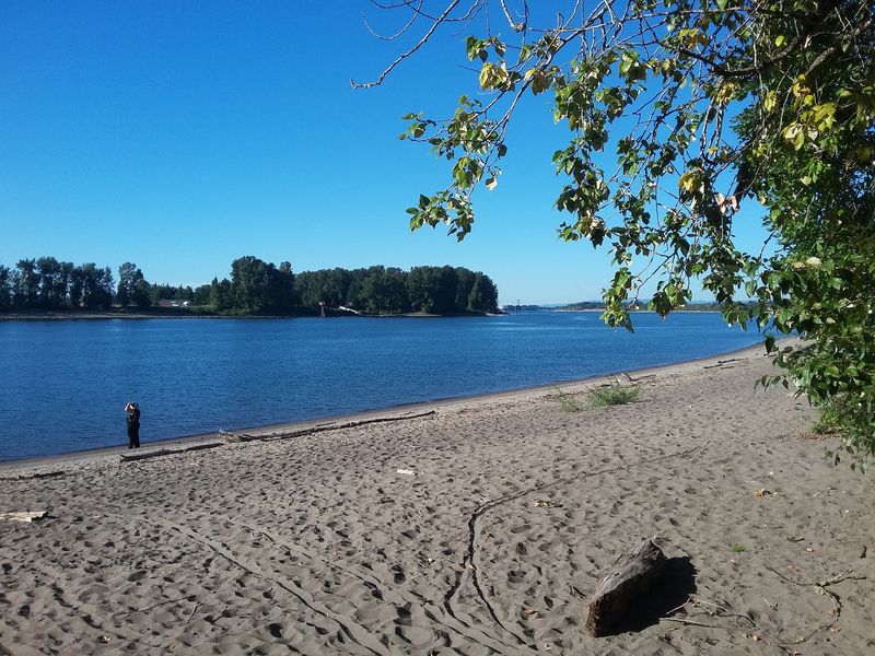 Sandy Beaches That Feel Miles Away From the City