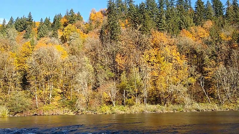 Sandy River, near Portland, Oregon