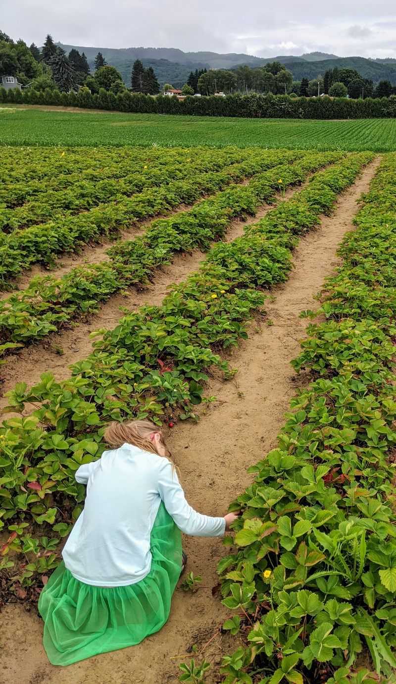 Sauvie Island Farms, Portland, Oregon