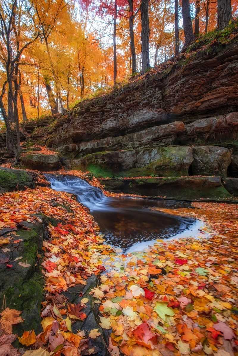 Scenery That Comes Free With The Address