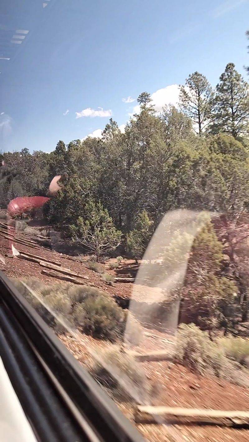 Scenery That Rolls Past The Windows