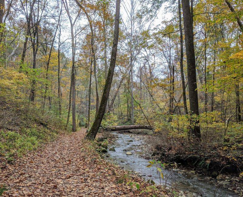 Scenic Hiking Trails Through Woods and Karst Landscape
