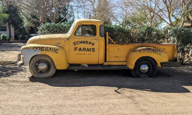 Schnepf Farms, Queen Creek