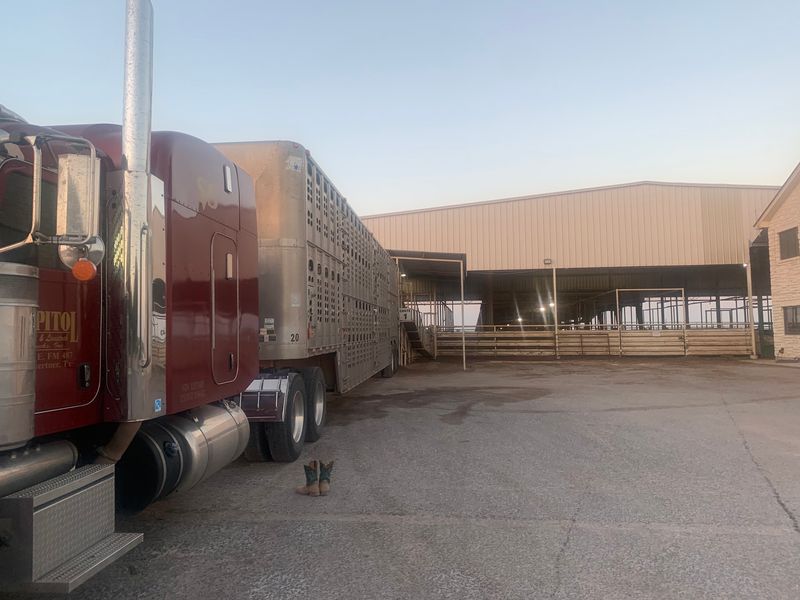 Schwertner Farms Pecans, Schwertner, Texas