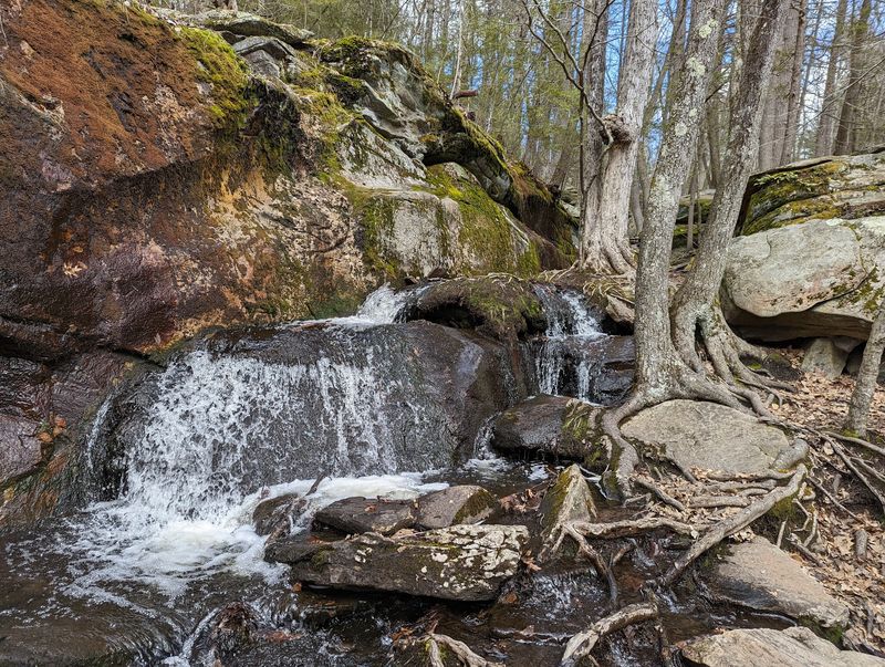 Scrambling Through the Chasm Trail
