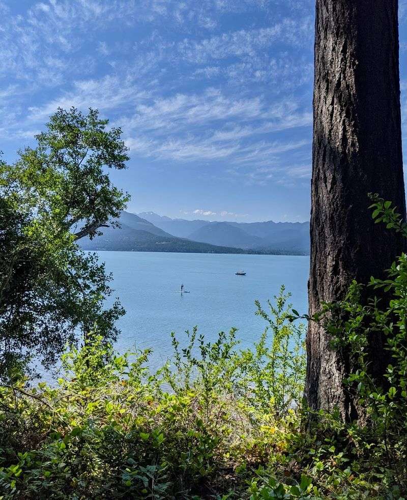 Seals, Otters, And Other Locals