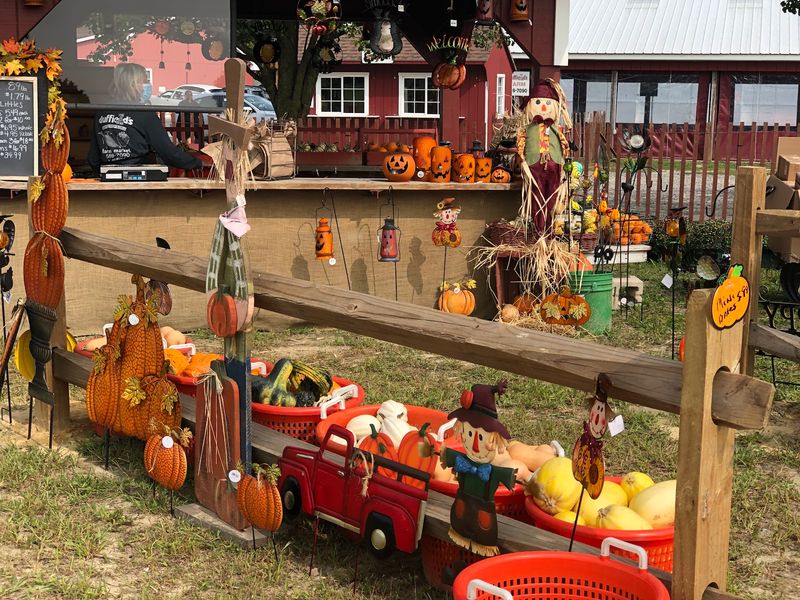 Seasonal Events That Keep Visitors Coming Back Year-Round