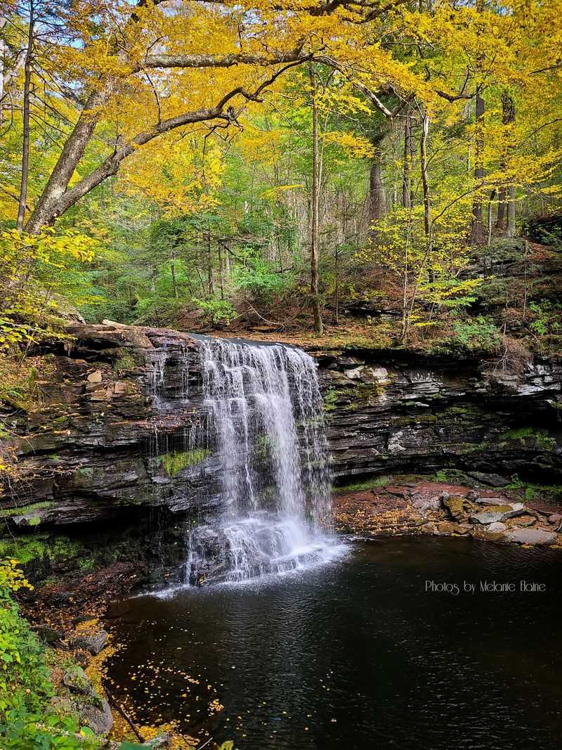 Seasonal Timing: When to Visit for the Most Spectacular Experience