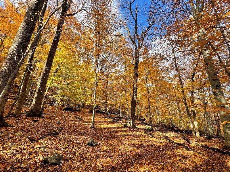 Seasons, Colors, and the Best Time to Go