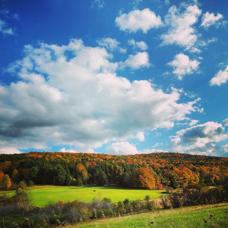 Seasons That Reshape the Scenery