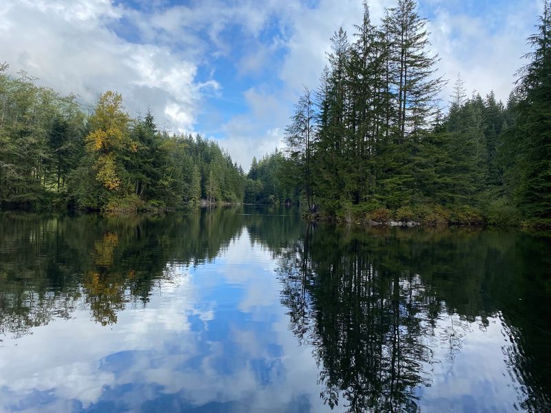 Seasons That Reshape the Scenery