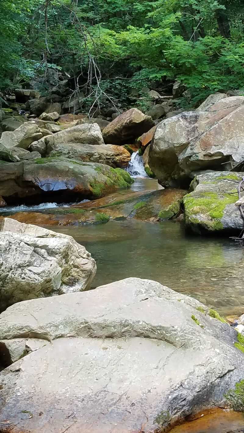 Set Deep in the Blue Ridge