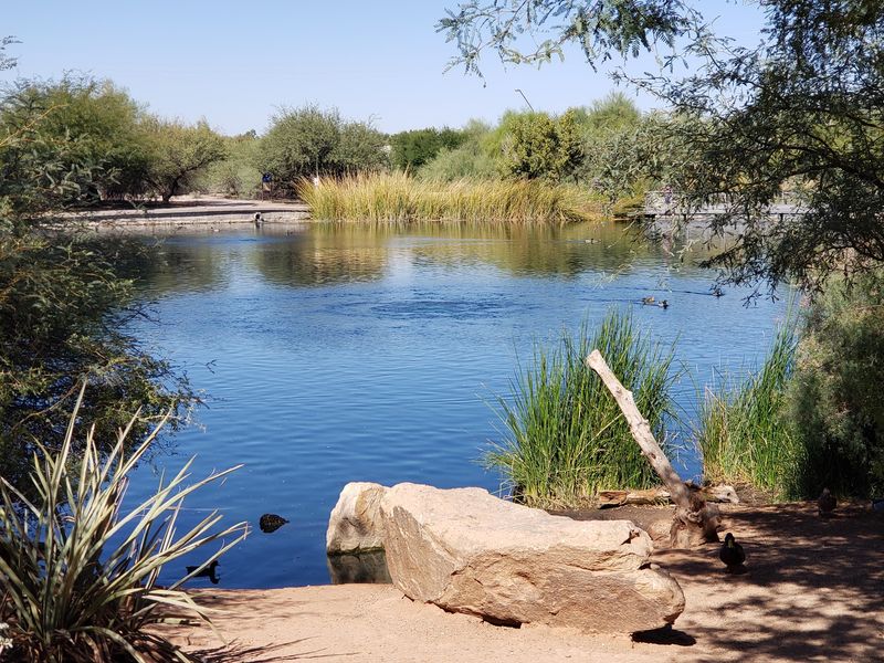 Seven Ponds and the Diverse Habitats They Create