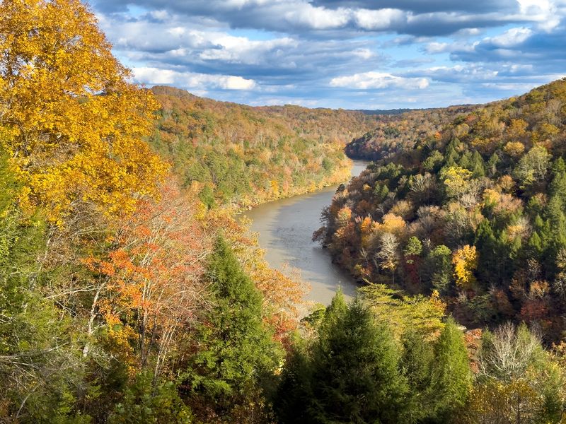 Seventeen Miles of Paths Through the Woods