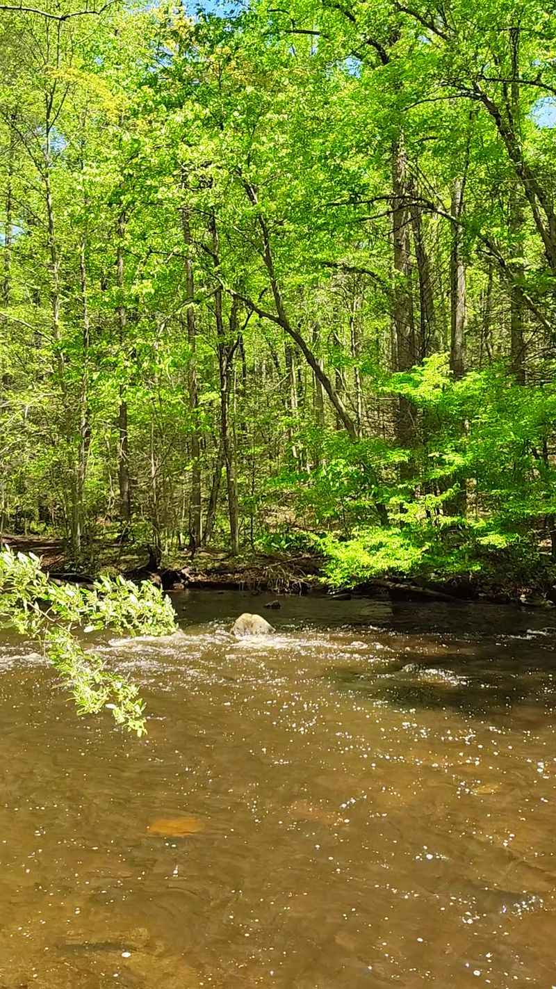 Shade That Makes Summer Hiking Easy
