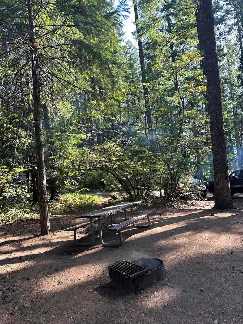 Shaded Campsites Under the Trees