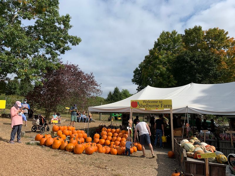Shelburne Farm, Stow