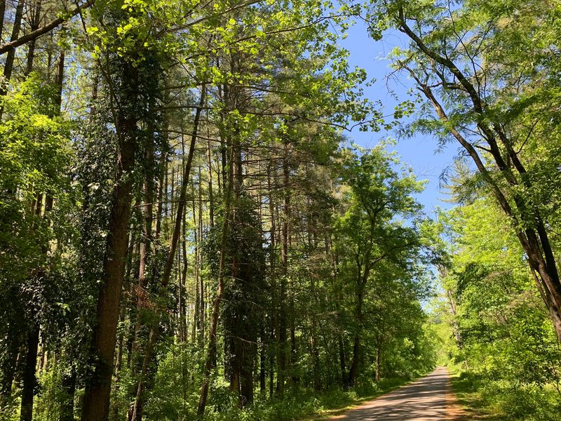 Short Trails Anyone Can Manage