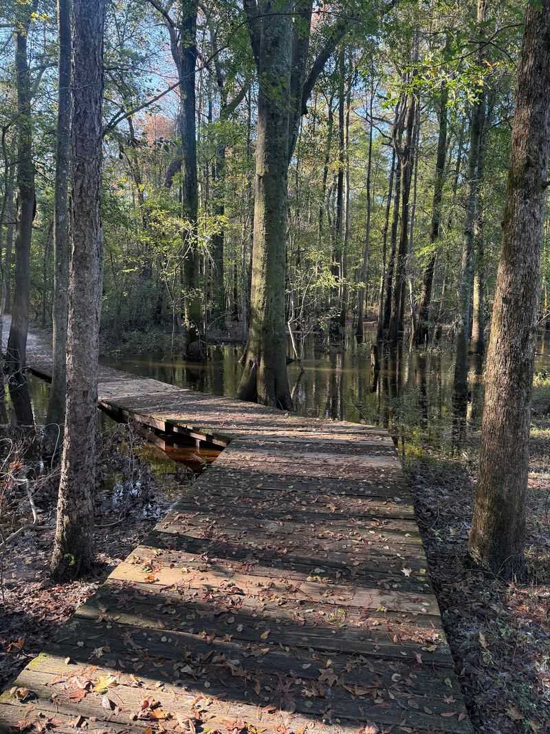 Short Trails and the Cypress Swamp Boardwalk Short Trails and the Cypress Swamp Boardwalk