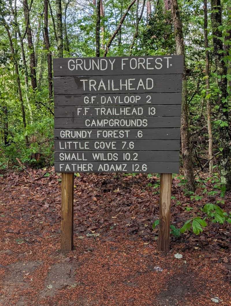 Signs, Signals, and Smart Navigation