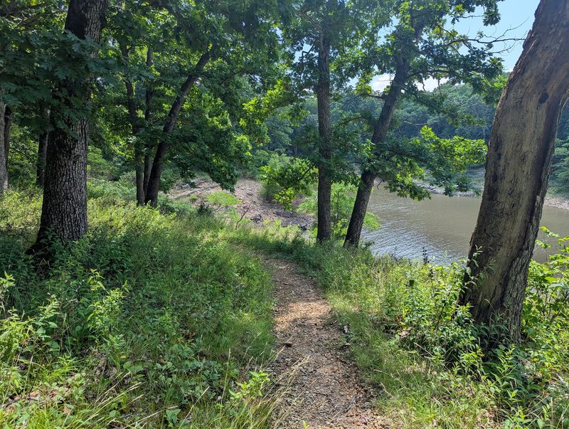 Six Miles of Trails Through the Woods