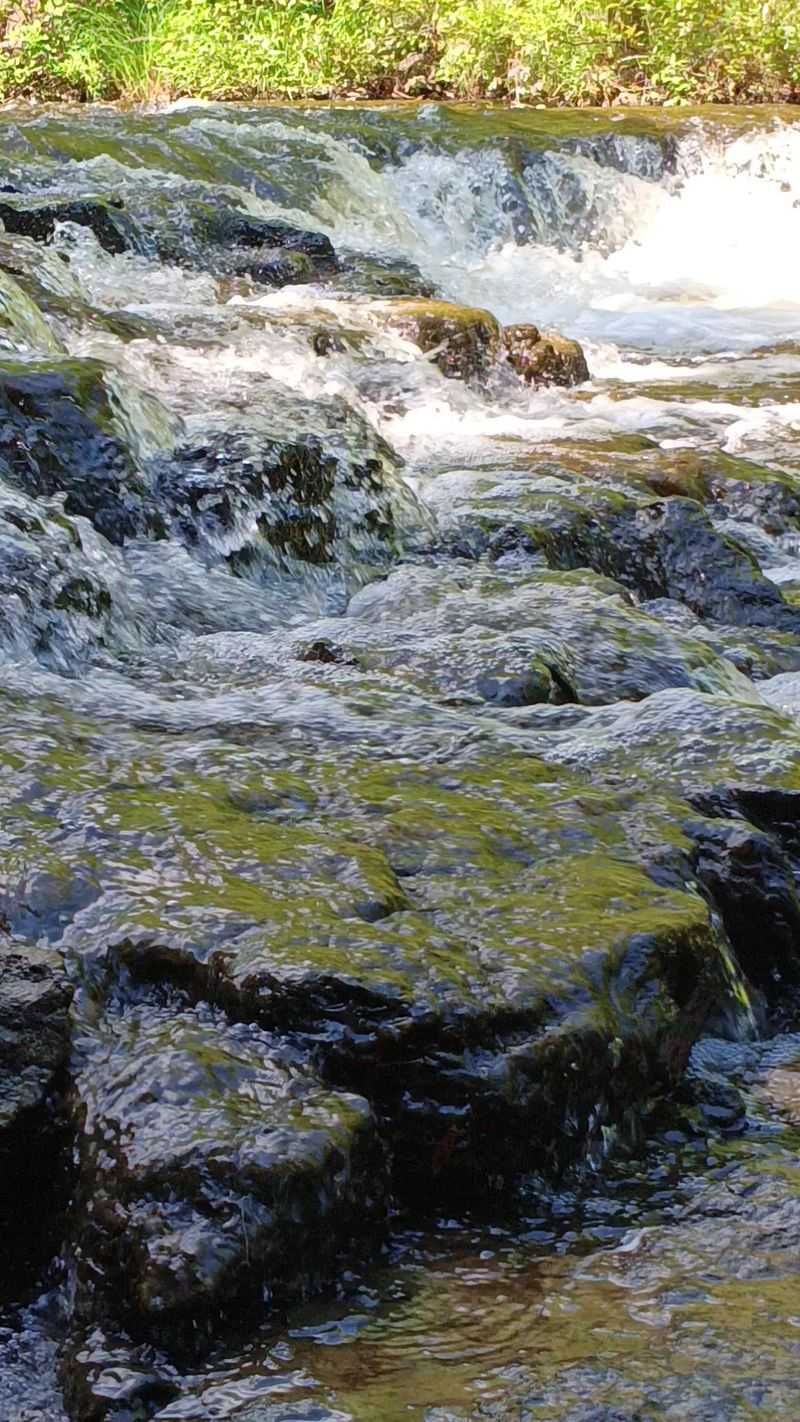 Slippery Rocks and a Few Friendly Snakes Slippery Rocks and a Few Friendly Snakes
