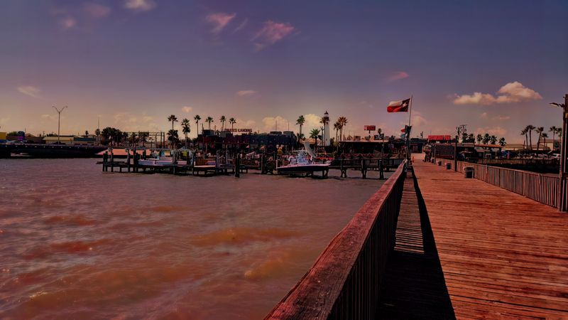 Slow Days Along The Laguna Madre