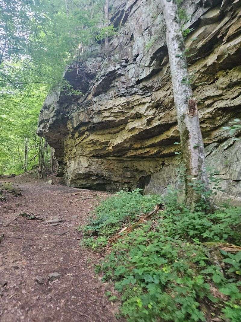 Snakes, Poison Ivy, And Smart Footwear