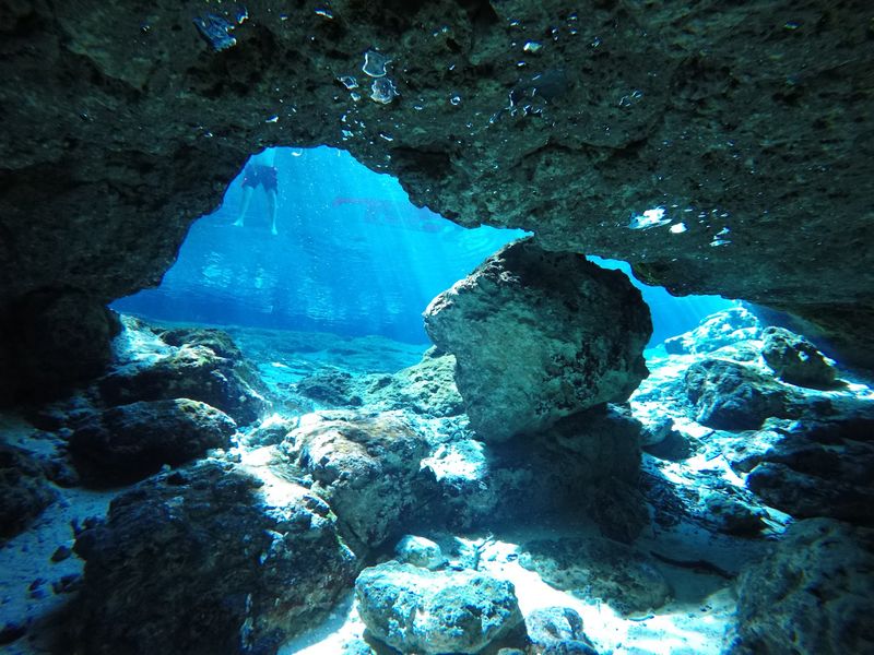 Snorkeling Above and Diving Below Snorkeling Above and Diving Below