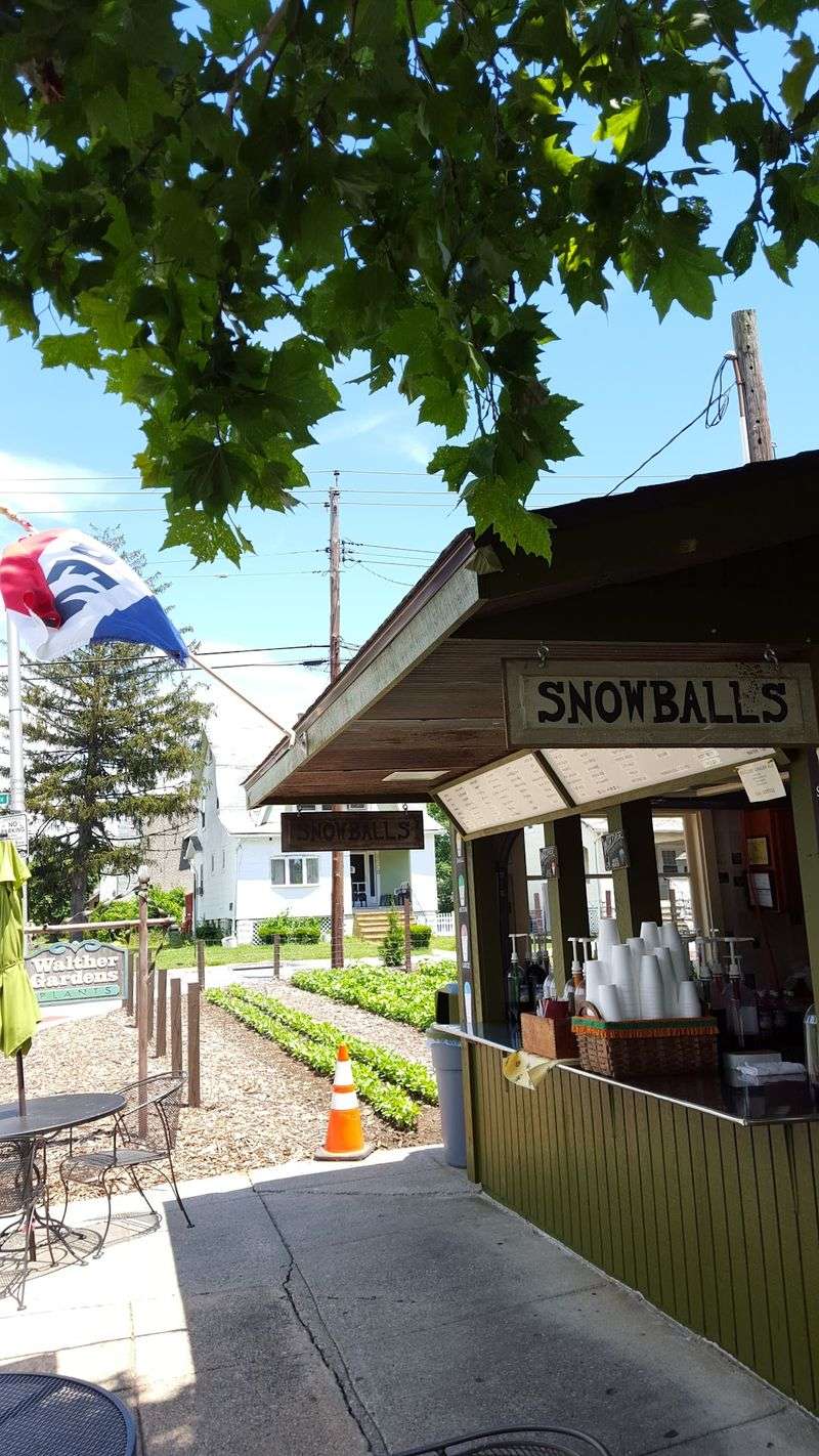Snowballs That Keep People Coming Back Snowballs That Keep People Coming Back