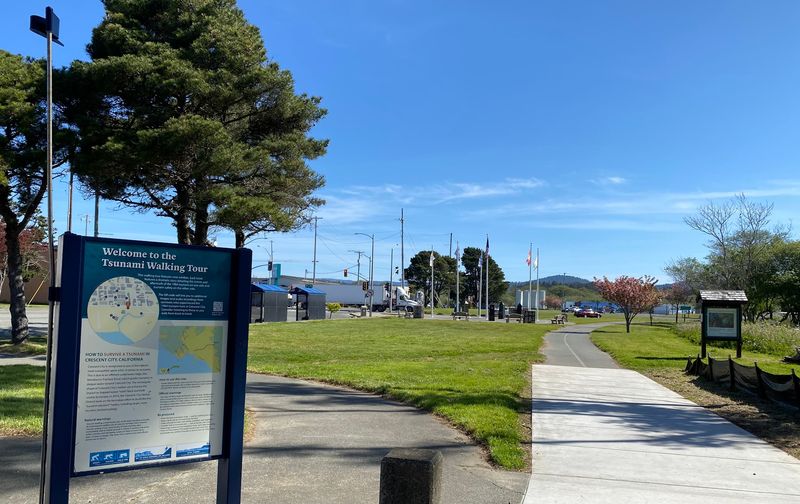 Soccer Fields and Open Green Spaces